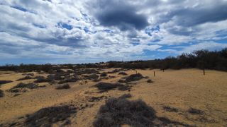 2023-GC--Mapalomas dunas-S123-019.jpg